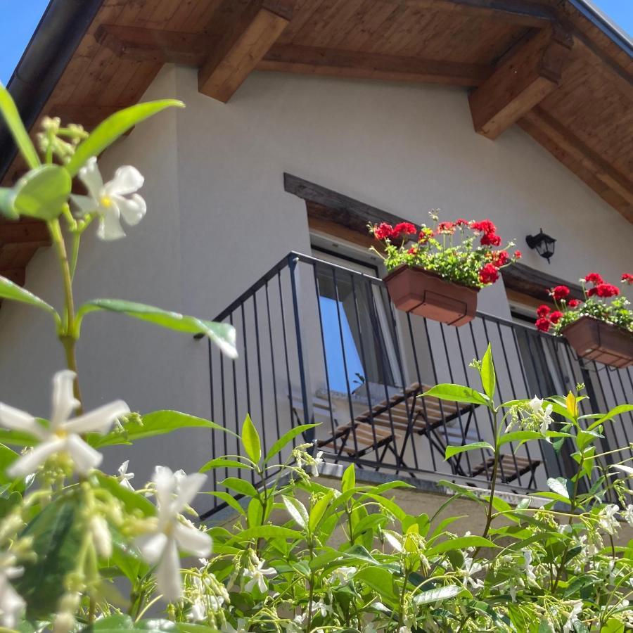 Il Riccio Di Ricciano Bed and Breakfast Casale Corte Cerro Eksteriør billede