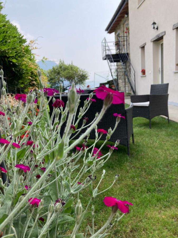 Il Riccio Di Ricciano Bed and Breakfast Casale Corte Cerro Eksteriør billede